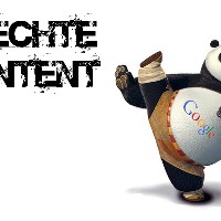 google-panda-4